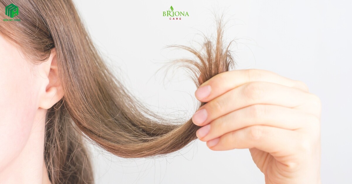 Chăm sóc tóc khô xơ chẻ ngọn tại nhà giúp tóc mềm mượt, óng ả tự nhiên