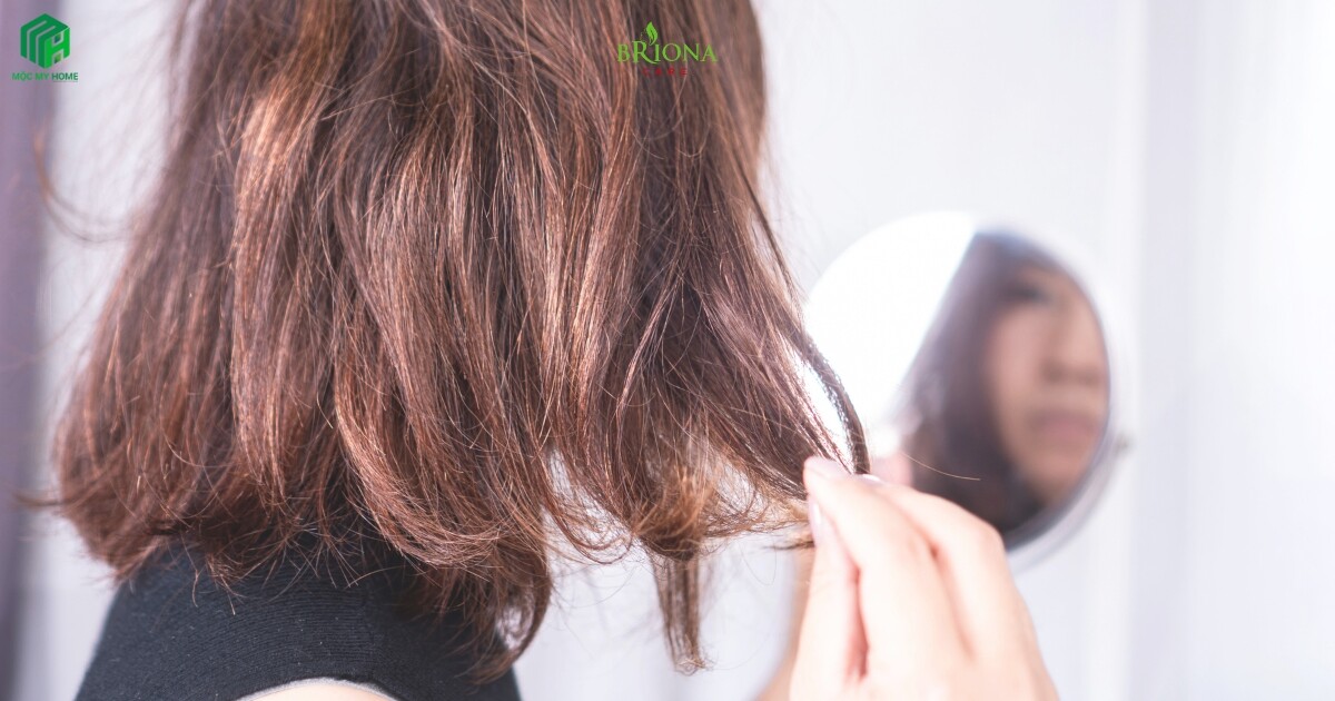 Chăm sóc tóc khô xơ chẻ ngọn tại nhà giúp tóc mềm mượt, óng ả tự nhiên